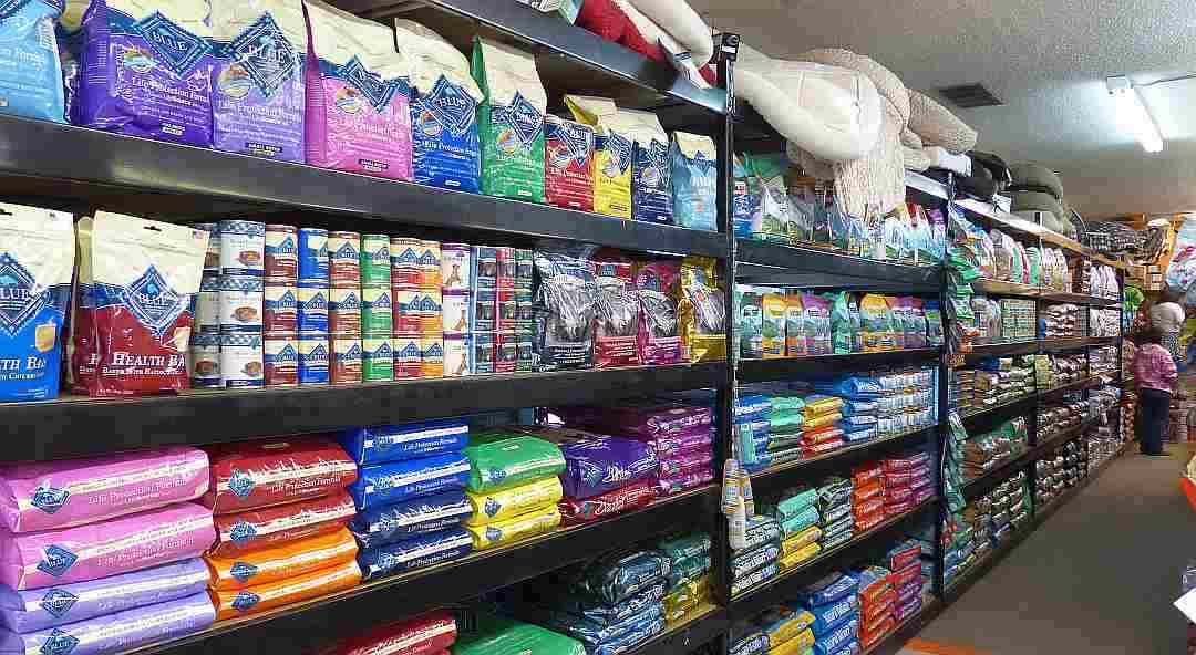 Finally, a pet store that is fun to shop in and right here in Kingman