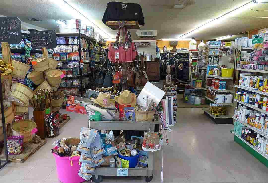 Finally, a pet store that is fun to shop in and right here in Kingman, Arizona