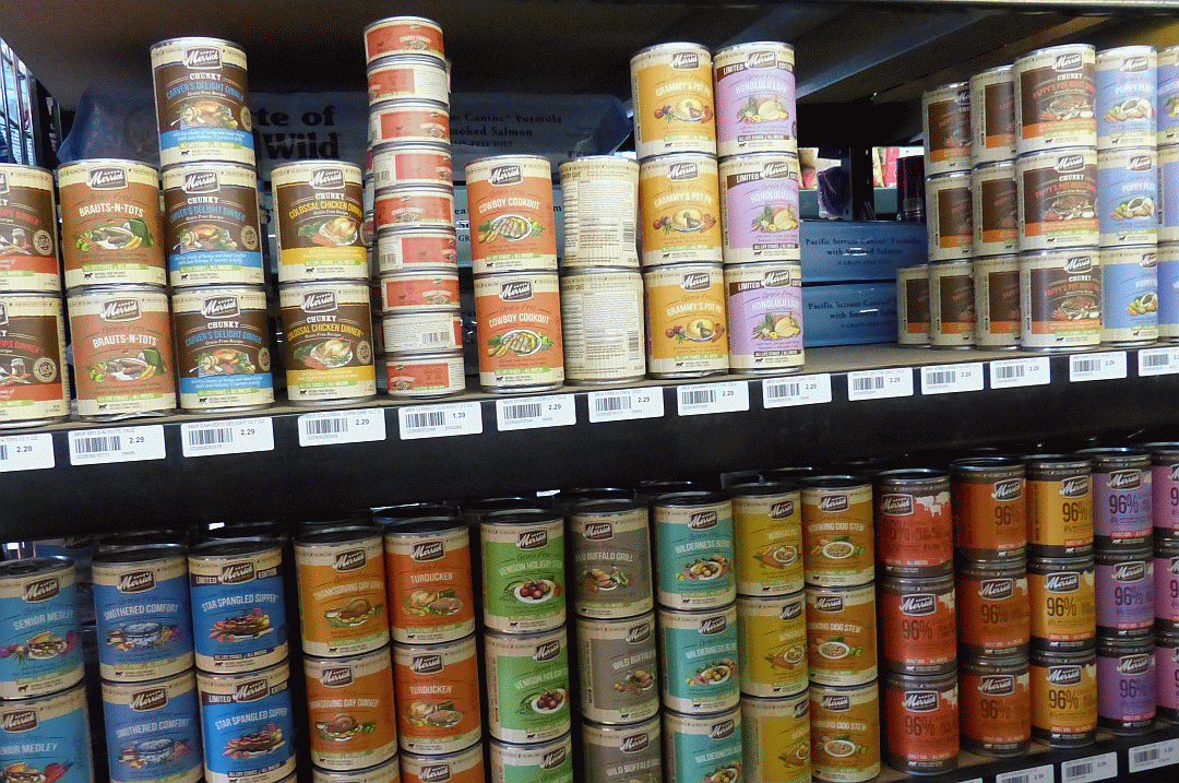 Finally, a pet store that is fun to shop in and right here in Kingman, Arizona